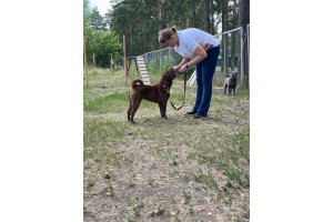 АЛАКСАР СВЕТ ЗВЕЗДНАЯ МИЛА