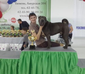 БРАВЫЙ ПОЛКОВНИК ИЗ УРАЛЬСКОЙ ЛЕГЕНДЫ (РКФ 3805723)