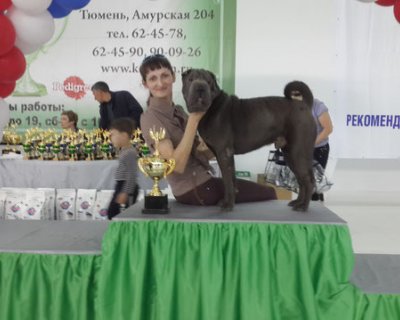 БРАВЫЙ ПОЛКОВНИК ИЗ УРАЛЬСКОЙ ЛЕГЕНДЫ