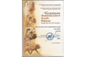 ЭМИРАЛЬД МИСТЕРИ ЗАРЯЖЕННЫЙ УДАЧЕЙ (Буч)