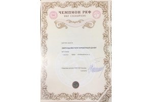 ЭМИРАЛЬД МИСТЕРИ ЗАРЯЖЕННЫЙ УДАЧЕЙ (Буч)