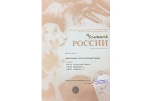 ЭМИРАЛЬД МИСТЕРИ ЗАРЯЖЕННЫЙ УДАЧЕЙ (Буч)