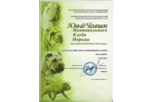 ЭМИРАЛЬД МИСТЕРИ ЗАРЯЖЕННЫЙ УДАЧЕЙ (Буч)