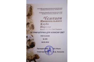 ОСТРАЯ ШТУЧКА ДЛЯ АЛАКСАР СВЕТ (Габи)