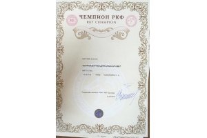ОСТРАЯ ШТУЧКА ДЛЯ АЛАКСАР СВЕТ (Габи)