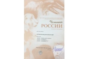 ОСТРАЯ ШТУЧКА ДЛЯ АЛАКСАР СВЕТ (Габи)