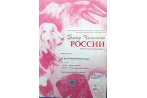 ОСТРАЯ ШТУЧКА ДЛЯ АЛАКСАР СВЕТ (Габи)