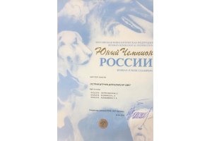 ОСТРАЯ ШТУЧКА ДЛЯ АЛАКСАР СВЕТ (Габи)