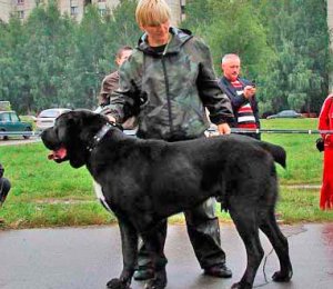 МИГАР ИЗ КЛОВИ