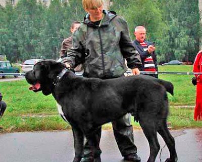 МИГАР ИЗ КЛОВИ