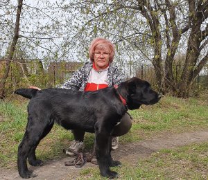 АЛАКСАР СВЕТ БАНДЕРОС