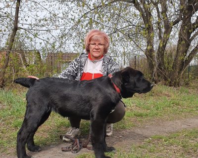 АЛАКСАР СВЕТ БАНДЕРОС