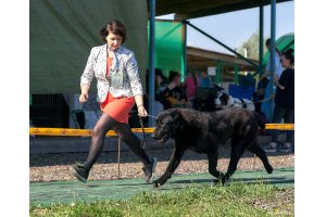 АЛАКСАР СВЕТ БАРБИ БЬЮТИФЛ (БАРБИ)