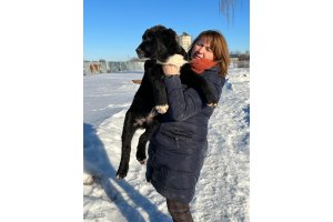 АЛАКСАР СВЕТ БЕЛИССИЯ ФОКС