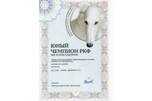 АЛАКСАР СВЕТ ЛАВИНИЯ (НИКА)