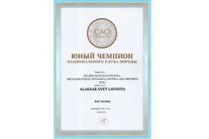 АЛАКСАР СВЕТ ЛАВИНИЯ (НИКА)