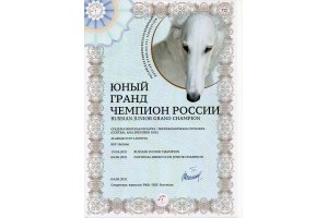 АЛАКСАР СВЕТ ЛАВИНИЯ (НИКА)