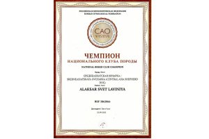 АЛАКСАР СВЕТ ЛАВИНИЯ (НИКА)