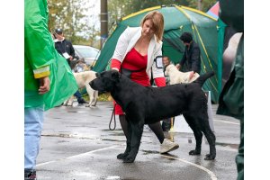АЛАКСАР СВЕТ ТРИКСИ (ТРИКСИ)