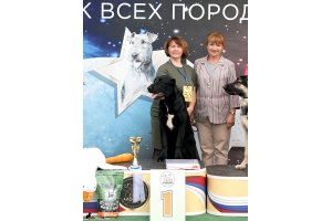 АЛАКСАР СВЕТ ТРИКСИ (ТРИКСИ)