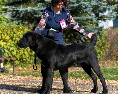 АЛАКСАР СВЕТ ВАХИТ