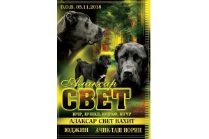 АЛАКСАР СВЕТ ВАХИТ (БЛЕК)