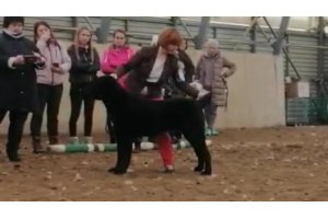 АЛАКСАР СВЕТ ВАХИТ (БЛЕК)