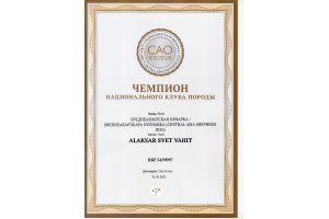 АЛАКСАР СВЕТ ВАХИТ (БЛЕК)