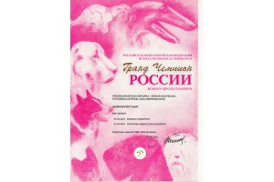 АЛАКСАР СВЕТ ВАХИТ (БЛЕК)
