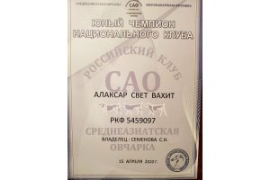 АЛАКСАР СВЕТ ВАХИТ (БЛЕК)