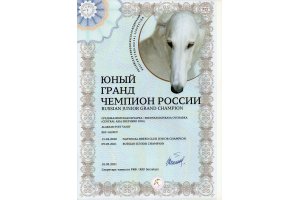 АЛАКСАР СВЕТ ВАХИТ (БЛЕК)