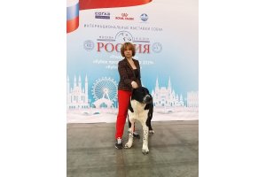 АЛАКСАР СВЕТ ВАРИСА (ВАРЯ)