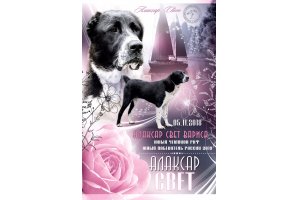 АЛАКСАР СВЕТ ВАРИСА (ВАРЯ)