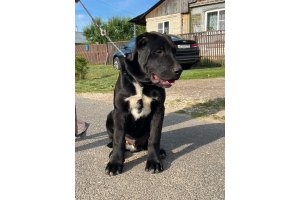 АЛАКСАР СВЕТ ЯКИР