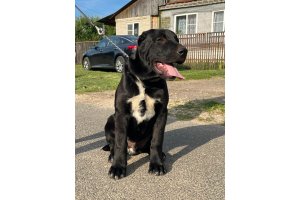 АЛАКСАР СВЕТ ЯКИР