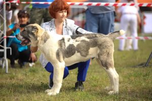 АЛАКСАР СВЕТ ЖЕДАР (ДАРИК)