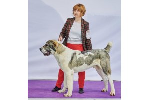 АЛАКСАР СВЕТ ЖЕДАР (ДАРИК)