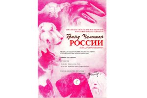 АЛАКСАР СВЕТ ЖЕДАР (ДАРИК)