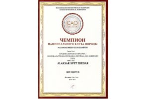 АЛАКСАР СВЕТ ЖЕДАР (ДАРИК)