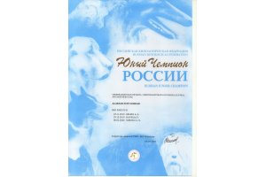 АЛАКСАР СВЕТ ЖЕДАР (ДАРИК)