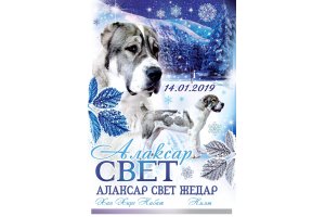 АЛАКСАР СВЕТ ЖЕДАР (ДАРИК)