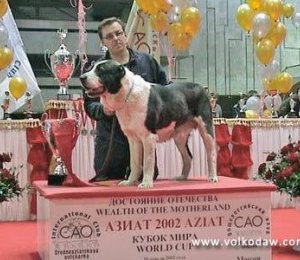 КИРИЯТ ИЗ КЛОВИ