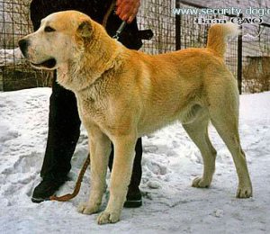 ТАУ БАЙ