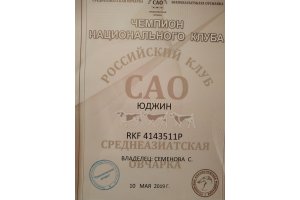 ЮДЖИН