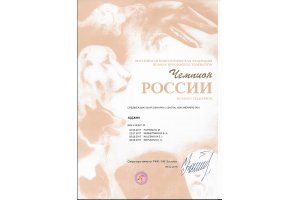 ЮДЖИН