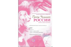 ЮДЖИН