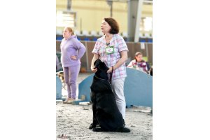 ЖАНУБ ЕЛ ЕНИШ КОРА (КОРА)